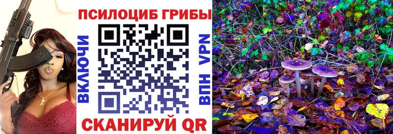 Галлюциногенные грибы Magic Shrooms  Ярославль 